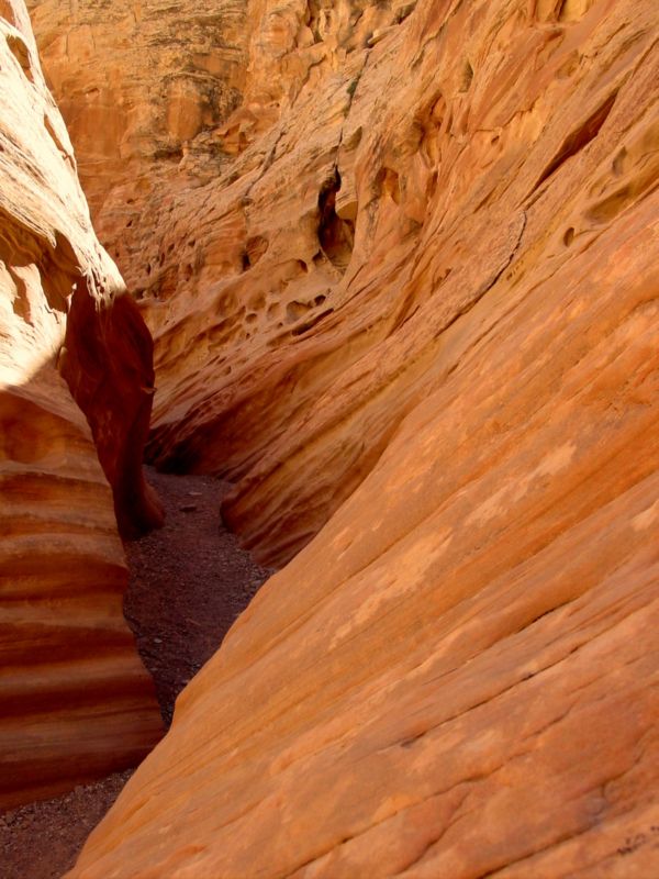 04160302LittleWildHorse (1029)